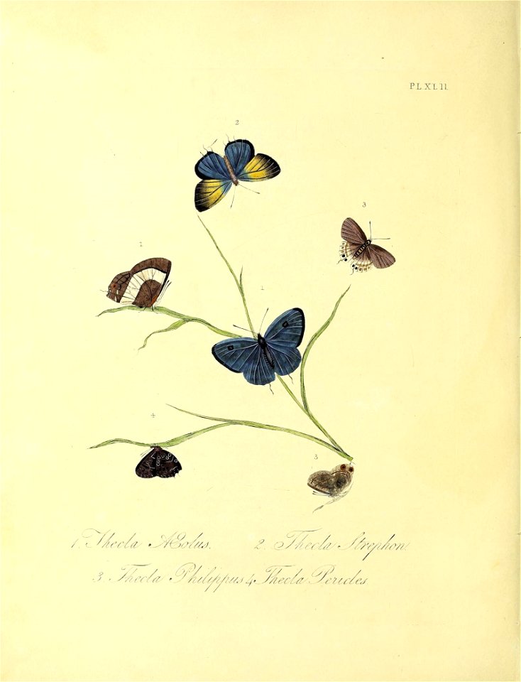n159_w1150