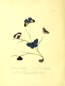 n159_w1150