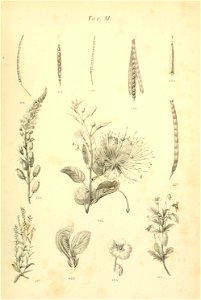 n772_w1150