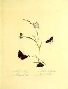 n152_w1150