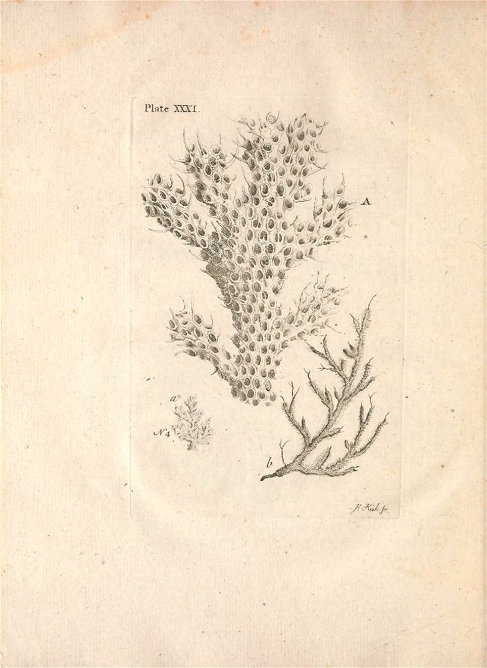 n175_w1150
