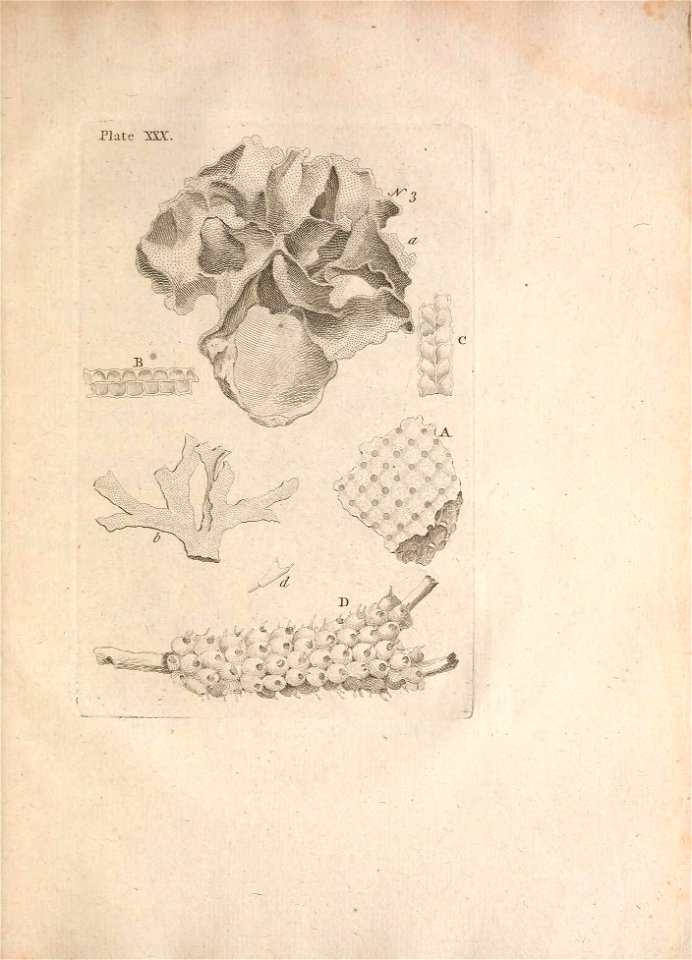 n172_w1150