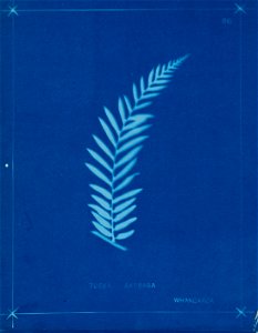 n105_w1150