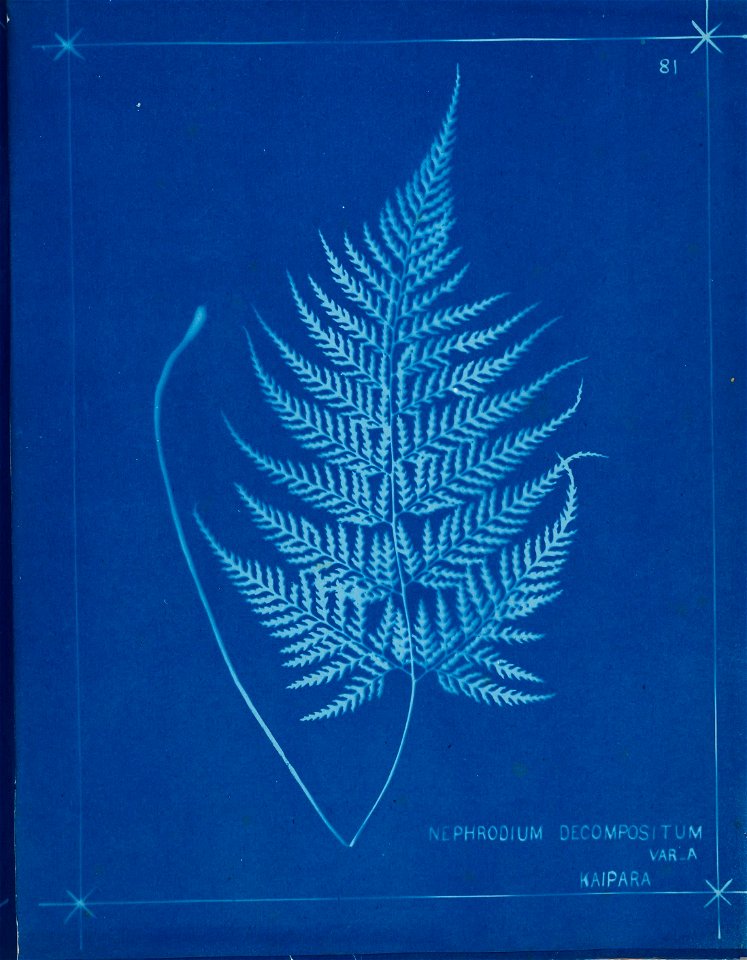 n90_w1150