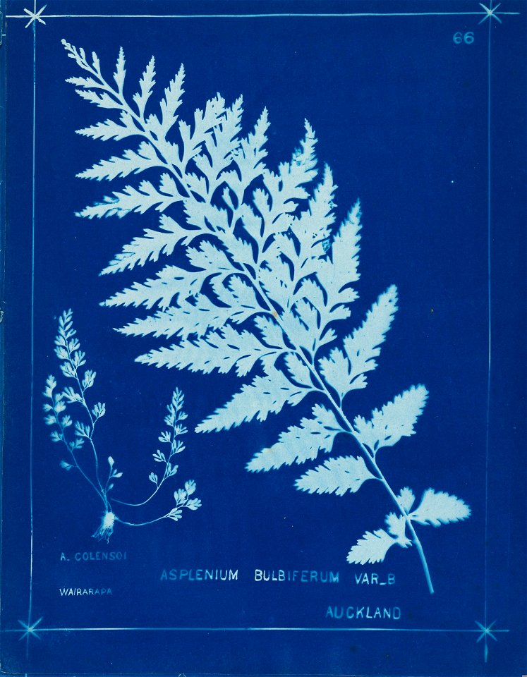 n75_w1150