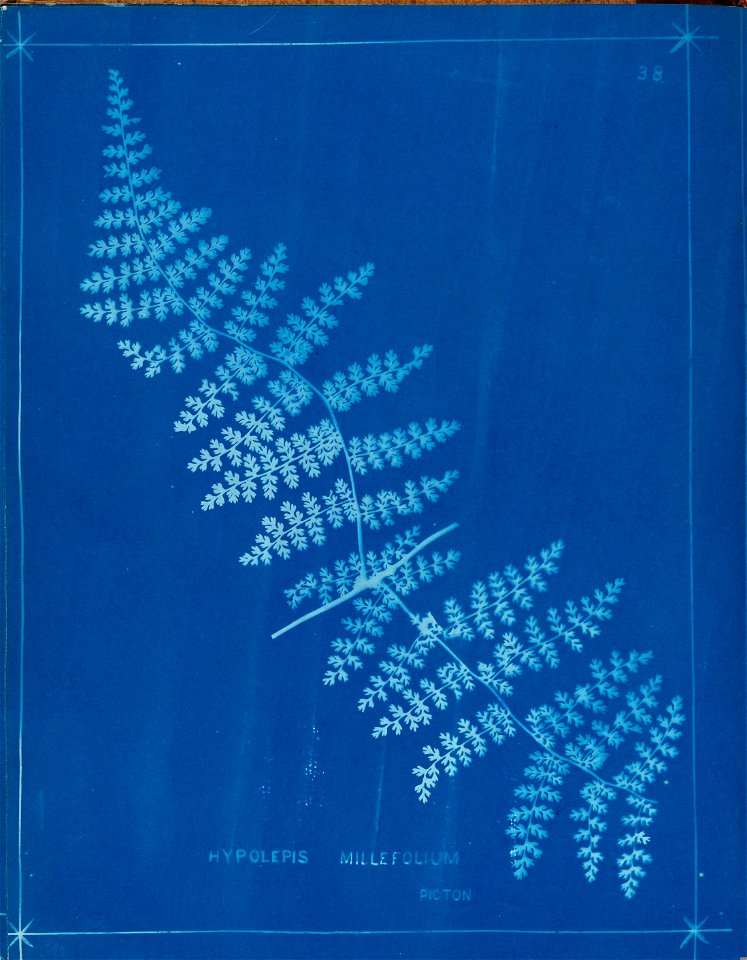 n43_w1150