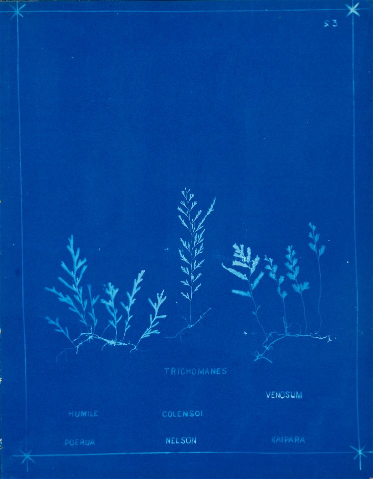n28_w1150