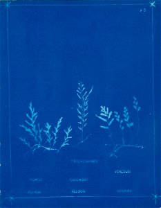 n28_w1150