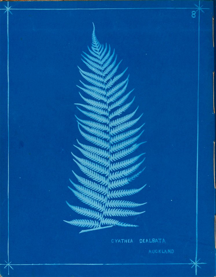 n13_w1150