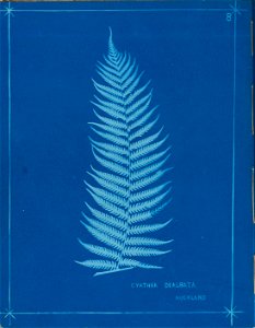 n13_w1150
