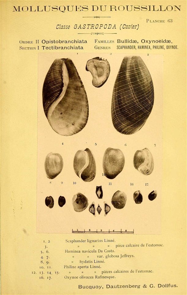n184_w1150