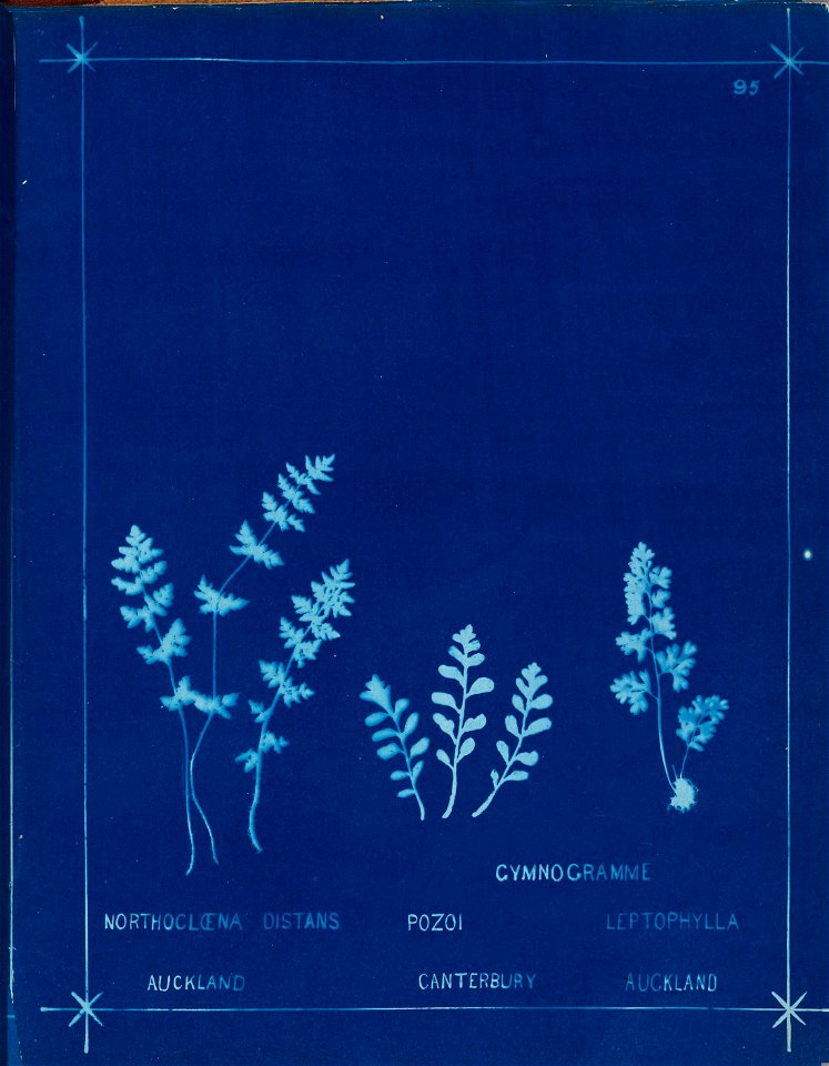 n104_w1150
