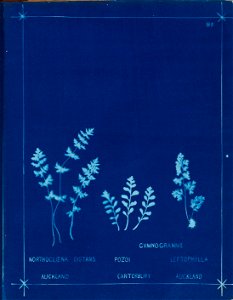 n104_w1150