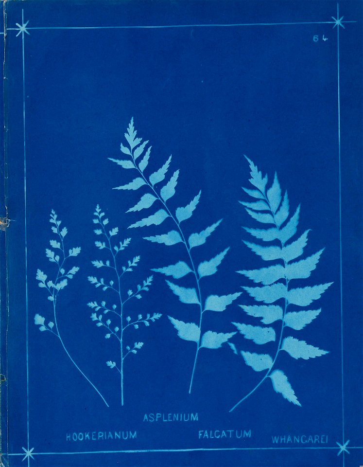n74_w1150