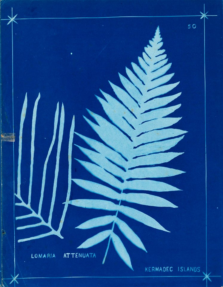 n58_w1150