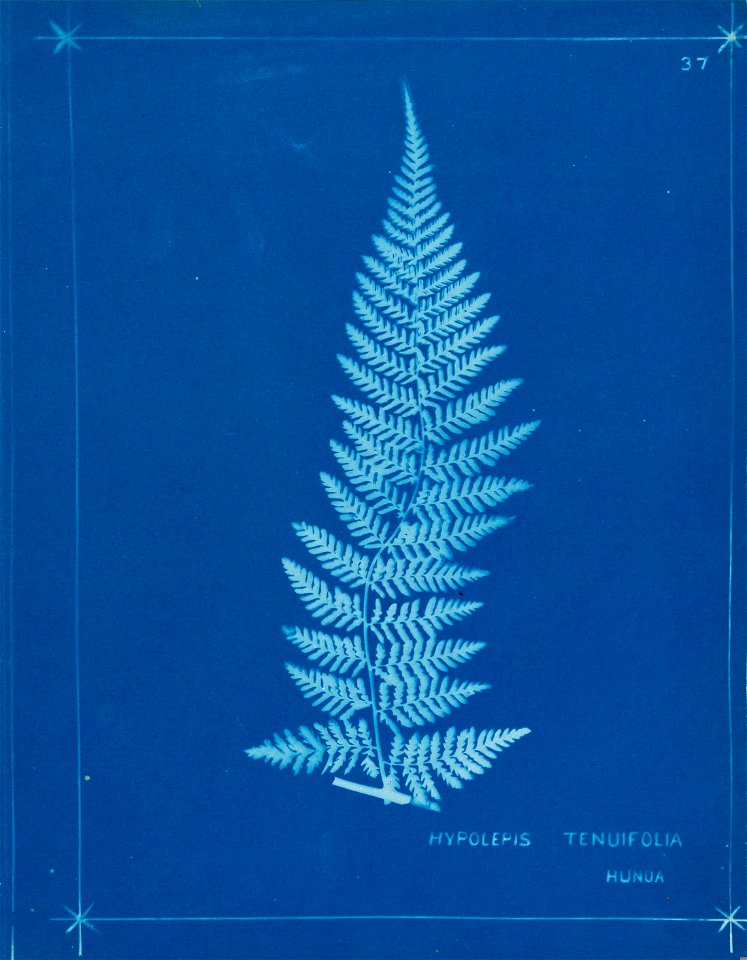 n42_w1150