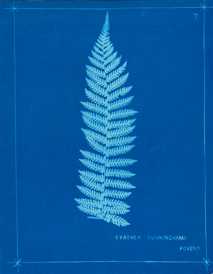 n12_w1150