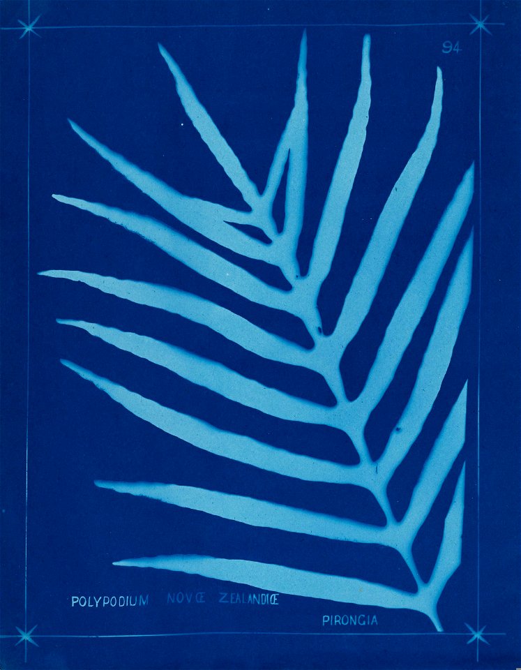 n103_w1150