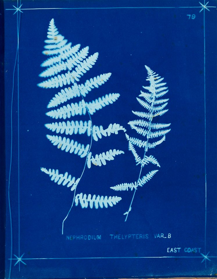 n88_w1150