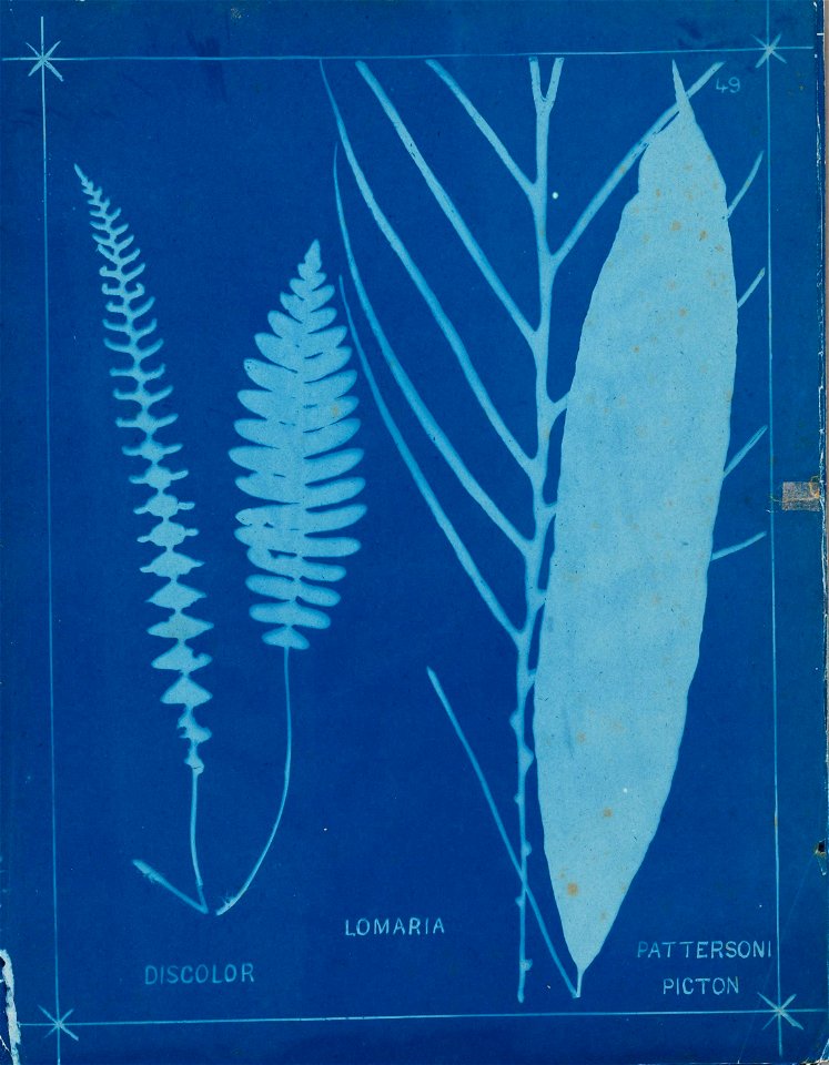 n57_w1150