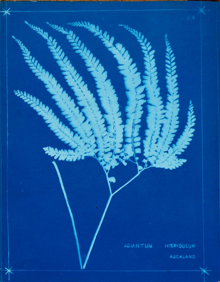 n41_w1150