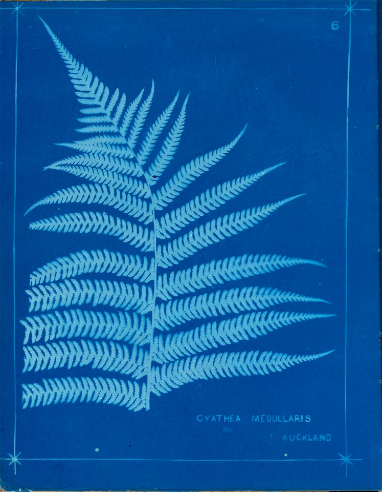 n11_w1150