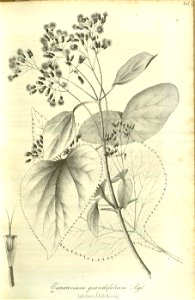 n166_w1150