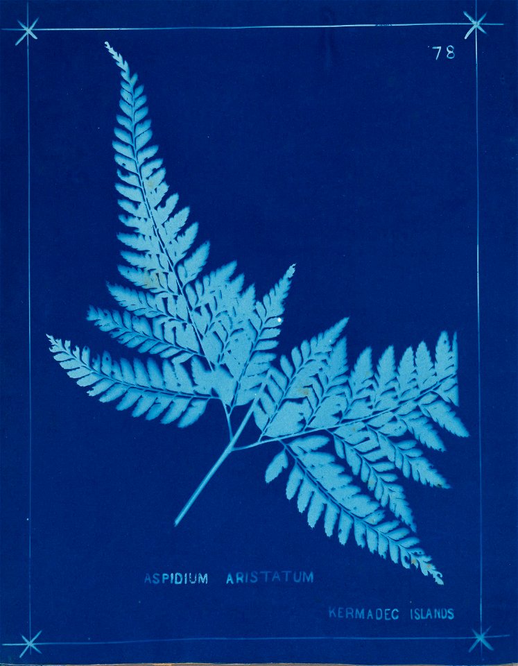 n87_w1150