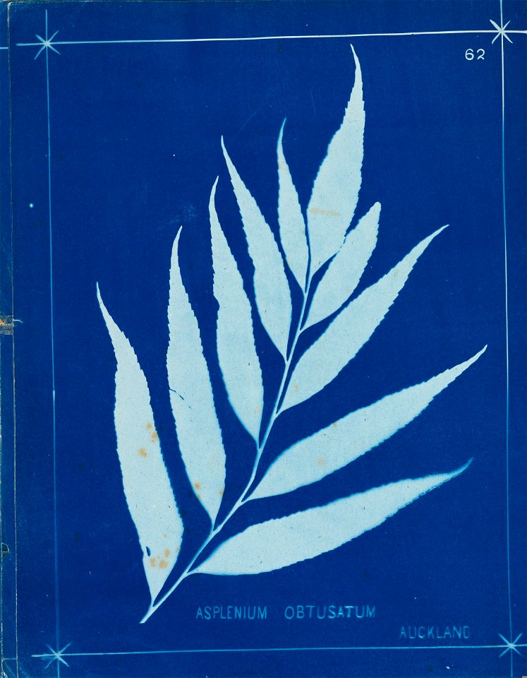 n72_w1150