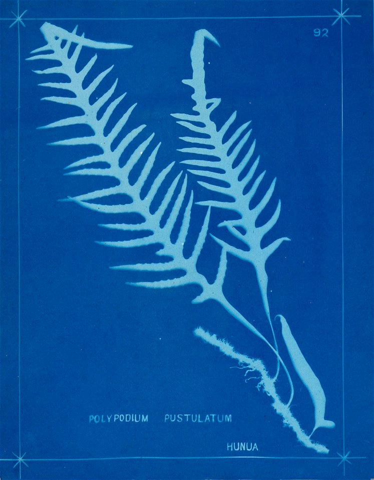 n101_w1150