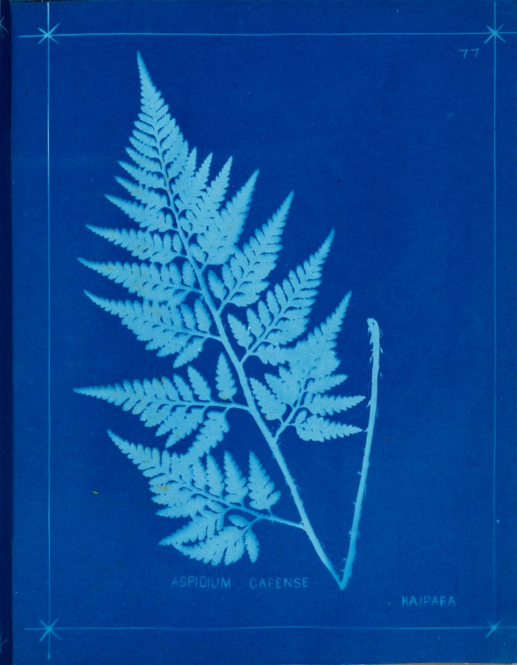 n86_w1150