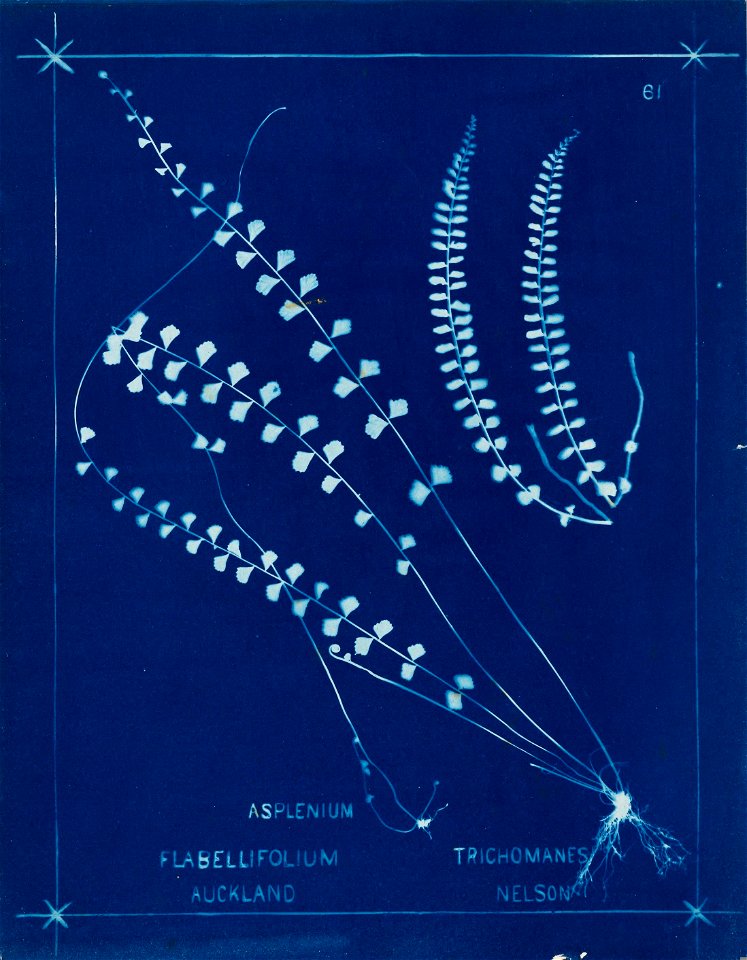 n71_w1150