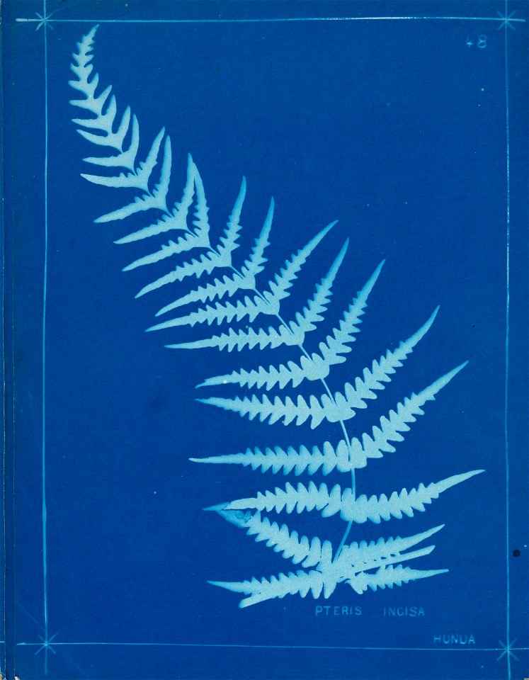n54_w1150