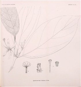 n83_w1150
