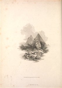 n207_w1150