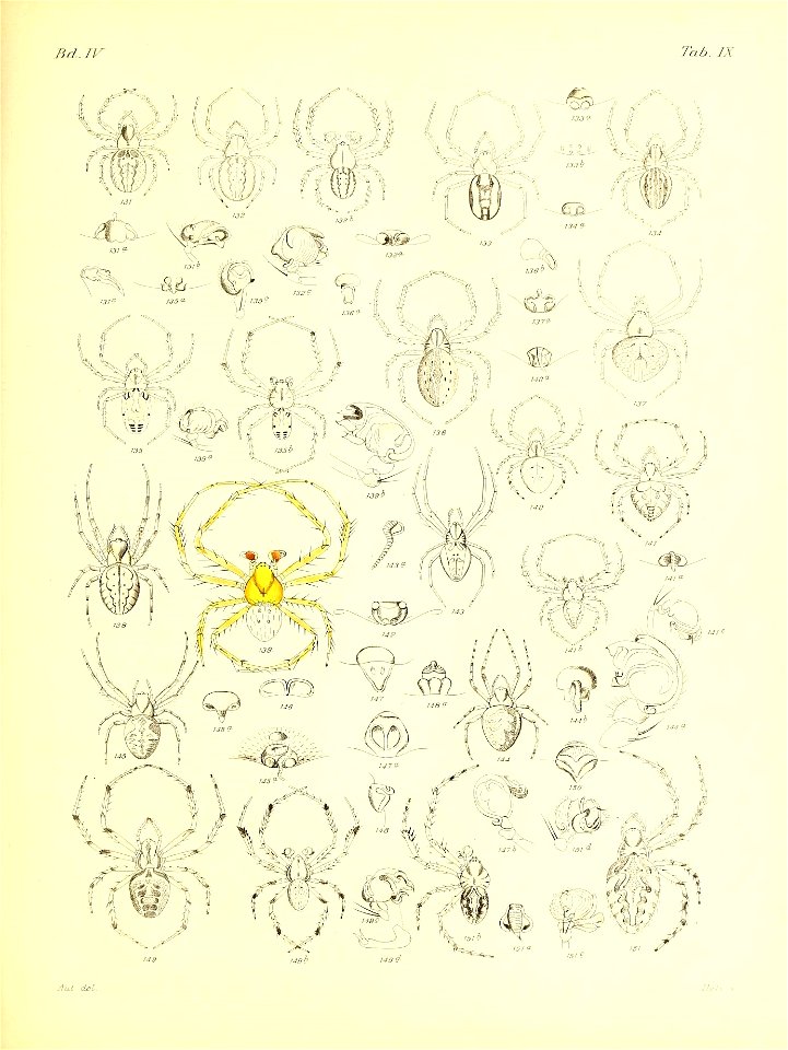 n586_w1150