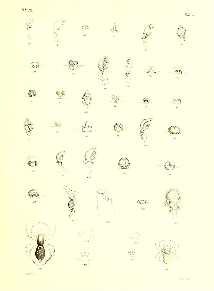 n306_w1150