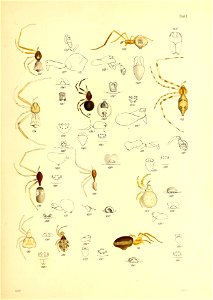 n594_w1150