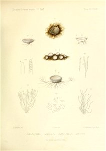 n218_w1150