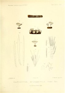 n188_w1150