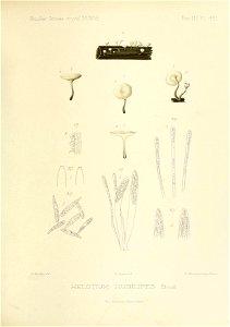 n158_w1150