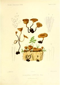 n128_w1150