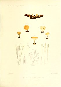 n156_w1150