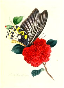 n148_w1150