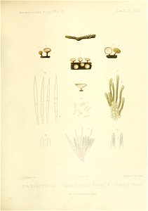 n182_w1150