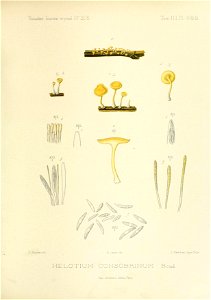 n152_w1150