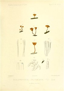 n122_w1150