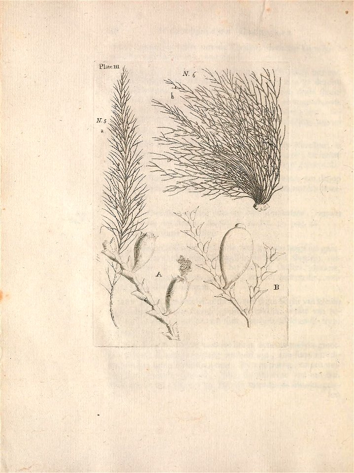 n51_w1150