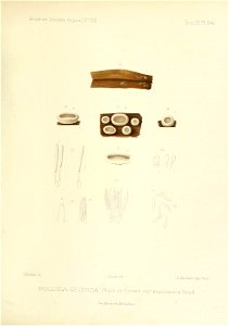 n268_w1150