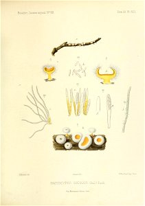 n178_w1150